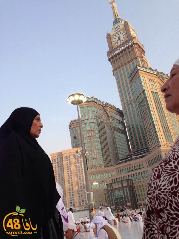 7Ojaj yaffa (12).JPG